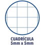 Oxford Cuaderno Touch A4+ Cuadriculado Coral con Espiral, 80 Hojas